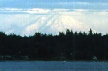 Rainer photo